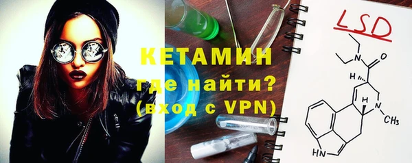индика Арсеньев