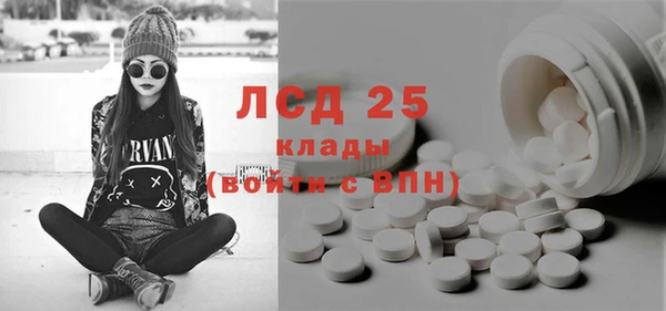 индика Арсеньев