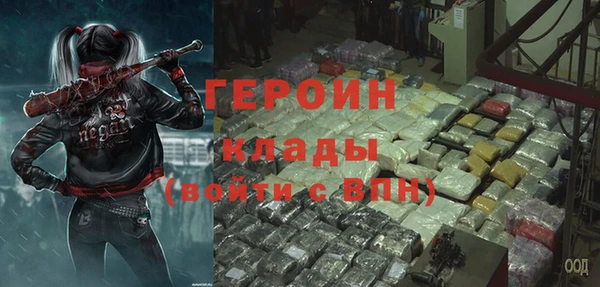 индика Арсеньев