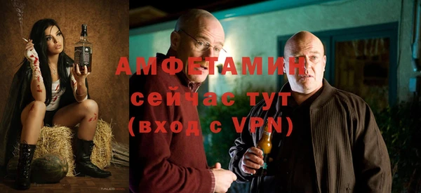индика Арсеньев