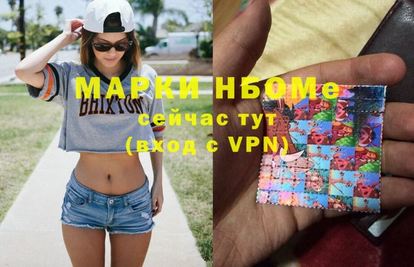 индика Арсеньев