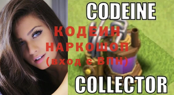 индика Арсеньев