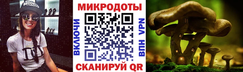 Галлюциногенные грибы Magic Shrooms  Гвардейск 